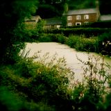 Sleepwalkers of the Montgomery Canal