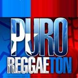 Dj Elias - Puro Reggaeton Mix