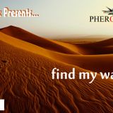 "DJ Ceez Presents...Pheromone...Find My Way"