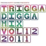 TRIGGA DIGGA MIX VOL. 12