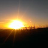 aus der Sonne