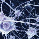 Hand made series vol 28 : Neural network