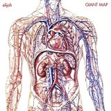 Giant Map
