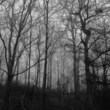 Sounds from the Cvlt 01 - Come out and Play