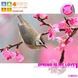 Laurent Tenstone - 4 Season in the Mix - The Spring is My Love 2011 part. 02 (Continous Mix) CCR022