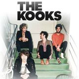 The Kooks Live at Southside Festival 2008
