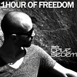 1 hour of freedom mixed by Cave Sedem