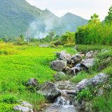 RadioPlus.vn - Suối xa