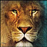 Spiritual Warrior