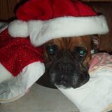 Christmas is you session
