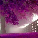 (DJ) Mad Influence Liquid DnB Mix Winter/Spring 2013 Part 1 - "The Violet Crusade"