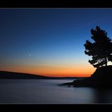 Island of Love
