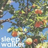 The Apricot Pillow - Sleepwalker June 26, 2014