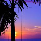 Special mIX