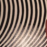 DM Introducing Disko Volante - Disko Volantes How Warm Do You Want It Warm Up Set ZOOM 02.10