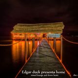 home by Edgar Duck cd one