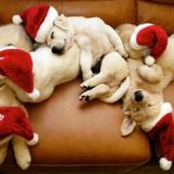 HYPEHITTERS"CHRISTMAS EDITION :SEASONS GREETINGS