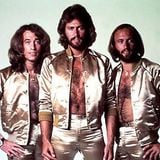The Bee Gees collection
