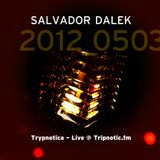 Day 065.09 : Salvador Dalek Live (2012_0503) at Tripnotic.fm