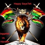 Aniversario Toxik Rave y Aleg b-day_Happy SayaTek_Raggatek-Hardtek