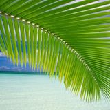 AE - SUMMER MIX 2009