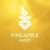 Vintage Colorss - Pineapple Digital Pres. Melodic Progressions 009 - 01-Jul-2014