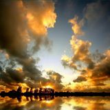 Everyday Sunshine