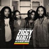 Ziggy Marley & the Melody Makers - Full Show Sep 3, 1995 SDB