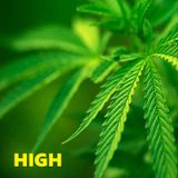 HIGH