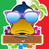 Diretta live Papero Beach - 22 Giugno 2012