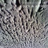 A Duck in a Tree 2013-11-02 | The Welding of Phonons