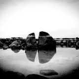 John McCaffrey - Refocus
