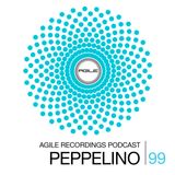 Agile Recordings Podcast 099 with Peppelino