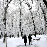 SOUNDPROFILE-Winter Tales Vol.II_December 2012