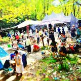 Camp Off-Tone 2013