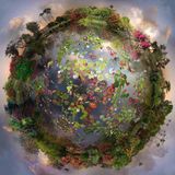 Web Of Life