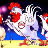 Il canto del gallo _ puntata del 20/11/2014