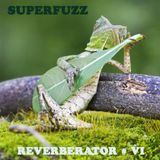 Superfuzz Reverberator # VI