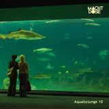 Aqual(o)unge 10