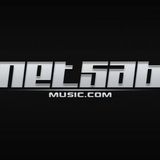 Netsab - January 2013