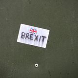 Brexit: why young Europeans are against it