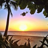 SilviaSativa - Aloha State Breaks on nsbradio.co.uk (1-11-2016)
