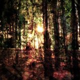 Halfway Back to Loam