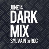 Sylvain du Roc _ Electro Dark Mix_