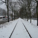 One Winter Day February 2014