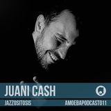 Amoeba Label Podcast 011 :: Juani Cash