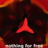 nothing for free