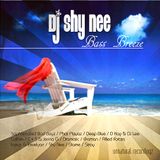 Dj Shy Nee - Bass Breeze