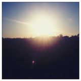 Low End Theory May 2012