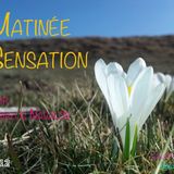 Matinée Sensation // Carlos Navalón